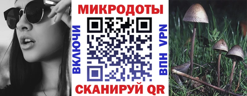 Купить Моздок Галлюциногенные грибы мицелий